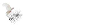 شركة الشروق لتركيب طارد حمام بالرياض